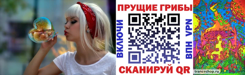 MEGA ТОР Юрьевец Псилоцибиновые грибы Psilocybe купить наркотик