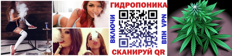 где можно купить Юрьевец МАРИХУАНА сатива